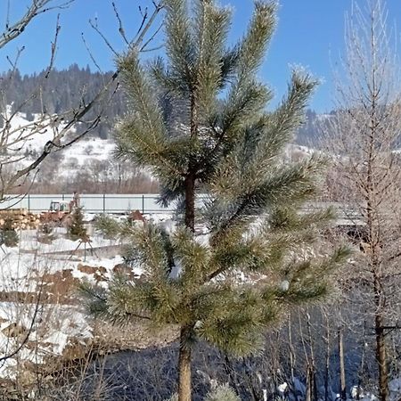 Затишний будиночок Bukovets Экстерьер фото